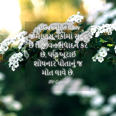 Picture 04 - નીતિવચનો 11:19 GUJIRV - જે માણસ નેકીમાં - Bible Verse Picture