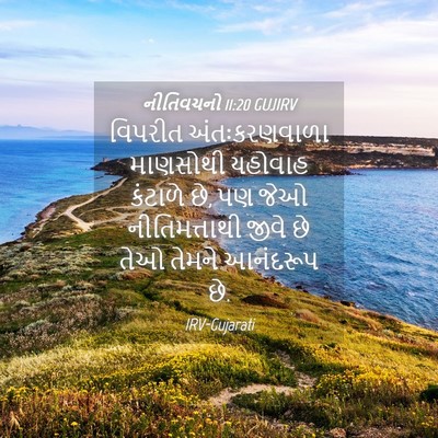 Picture 04 - નીતિવચનો 11:20 GUJIRV - વિપરીત - Bible Verse Picture
