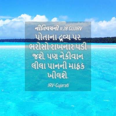 Picture 04 - નીતિવચનો 11:28 GUJIRV - પોતાના દ્રવ્ય પર - Bible Verse Picture