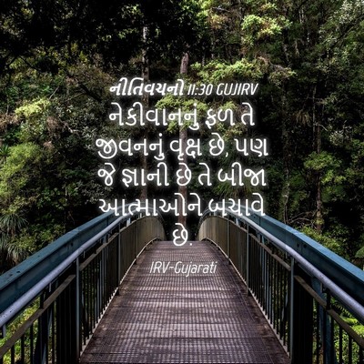 Picture 04 - નીતિવચનો 11:30 GUJIRV - નેકીવાનનું ફળ તે - Bible Verse Picture