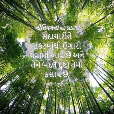 Picture 04 - નીતિવચનો 11:8 GUJIRV - સદાચારીને - Bible Verse Picture