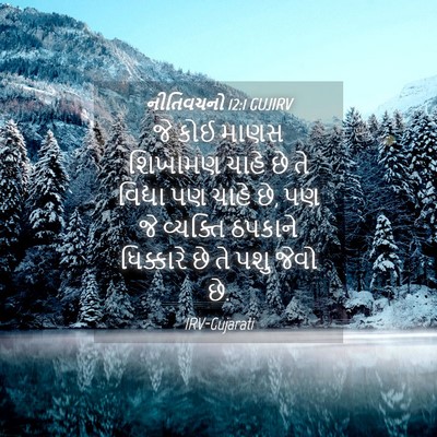 Picture 04 - નીતિવચનો 12:1 GUJIRV - જે કોઈ માણસ શિખામણ - Bible Verse Picture