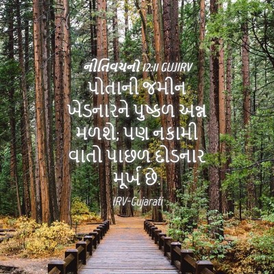 Picture 04 - નીતિવચનો 12:11 GUJIRV - પોતાની જમીન - Bible Verse Picture