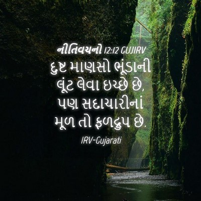 Picture 04 - નીતિવચનો 12:12 GUJIRV - દુષ્ટ માણસો - Bible Verse Picture