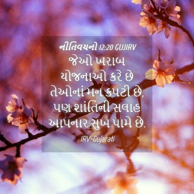 Picture 04 - નીતિવચનો 12:20 GUJIRV - જેઓ ખરાબ યોજનાઓ - Bible Verse Picture