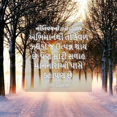 Picture 04 - નીતિવચનો 13:10 GUJIRV - અભિમાનથી તો કેવળ - Bible Verse Picture