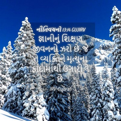 Picture 04 - નીતિવચનો 13:14 GUJIRV - જ્ઞાનીનું શિક્ષણ - Bible Verse Picture