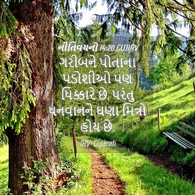 Picture 04 - નીતિવચનો 14:20 GUJIRV - ગરીબને પોતાના - Bible Verse Picture