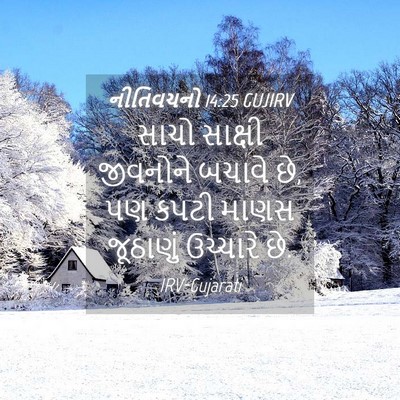 Picture 04 - નીતિવચનો 14:25 GUJIRV - સાચો સાક્ષી - Bible Verse Picture