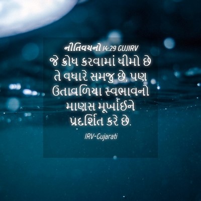 Picture 04 - નીતિવચનો 14:29 GUJIRV - જે ક્રોધ કરવામાં - Bible Verse Picture
