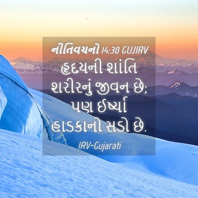 Picture 04 - નીતિવચનો 14:30 GUJIRV - હૃદયની શાંતિ - Bible Verse Picture