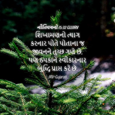 Picture 04 - નીતિવચનો 15:32 GUJIRV - શિખામણનો ત્યાગ - Bible Verse Picture