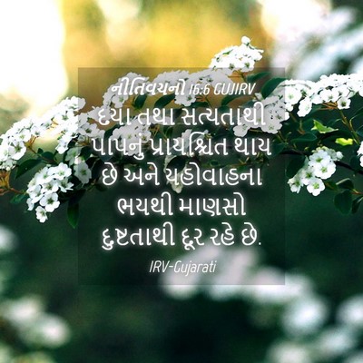 Picture 04 - નીતિવચનો 16:6 GUJIRV - દયા તથા સત્યતાથી - Bible Verse Picture