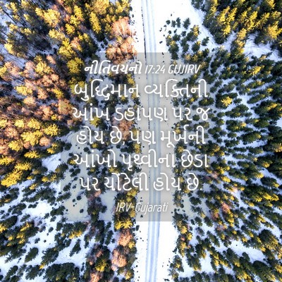 Picture 04 - નીતિવચનો 17:24 GUJIRV - બુદ્ધિમાન - Bible Verse Picture