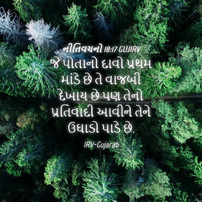Picture 04 - નીતિવચનો 18:17 GUJIRV - જે પોતાનો દાવો - Bible Verse Picture