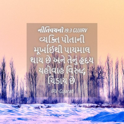 Picture 04 - નીતિવચનો 19:3 GUJIRV - વ્યક્તિ પોતાની - Bible Verse Picture