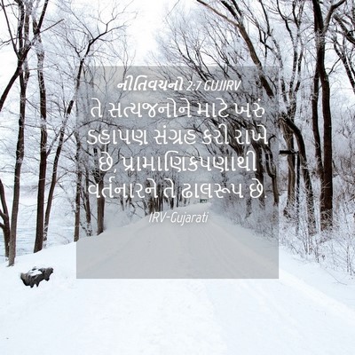 Picture 04 - નીતિવચનો 2:7 GUJIRV - તે સત્યજનોને માટે - Bible Verse Picture