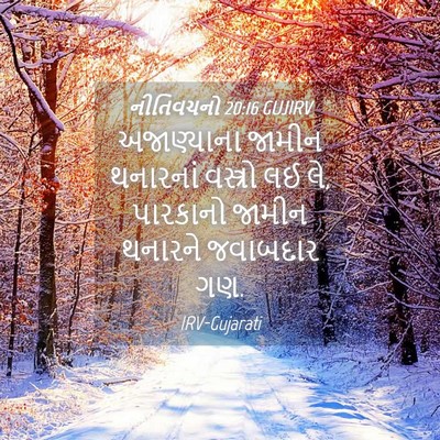 Picture 04 - નીતિવચનો 20:16 GUJIRV - અજાણ્યાના જામીન - Bible Verse Picture