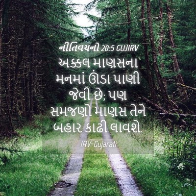 Picture 04 - નીતિવચનો 20:5 GUJIRV - અક્કલ માણસના - Bible Verse Picture