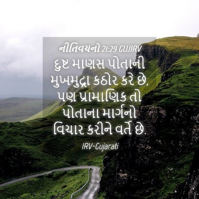 Picture 04 - નીતિવચનો 21:29 GUJIRV - દુષ્ટ માણસ પોતાની - Bible Verse Picture