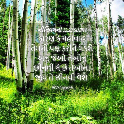 Picture 04 - નીતિવચનો 22:23 GUJIRV - કારણ કે યહોવાહ - Bible Verse Picture