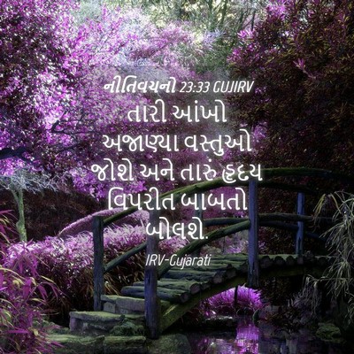 Picture 04 - નીતિવચનો 23:33 GUJIRV - તારી આંખો અજાણ્યા - Bible Verse Picture