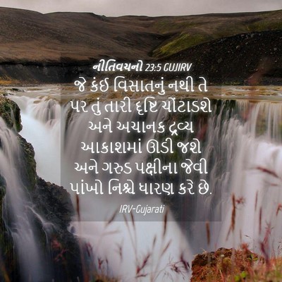 Picture 04 - નીતિવચનો 23:5 GUJIRV - જે કંઈ વિસાતનું - Bible Verse Picture