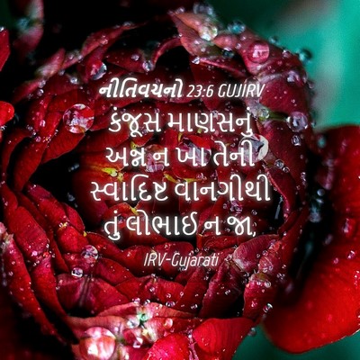 Picture 04 - નીતિવચનો 23:6 GUJIRV - કંજૂસ માણસનું - Bible Verse Picture