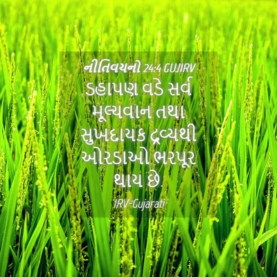 Picture 04 - નીતિવચનો 24:4 GUJIRV - ડહાપણ વડે સર્વ - Bible Verse Picture