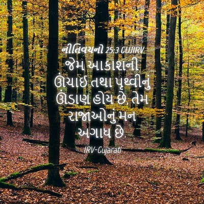 Picture 04 - નીતિવચનો 25:3 GUJIRV - જેમ આકાશની ઊંચાઈ - Bible Verse Picture