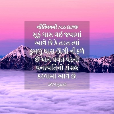 Picture 04 - નીતિવચનો 27:25 GUJIRV - સૂકું ઘાસ લઈ - Bible Verse Picture