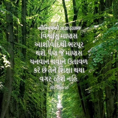 Picture 04 - નીતિવચનો 28:20 GUJIRV - વિશ્વાસુ માણસ - Bible Verse Picture