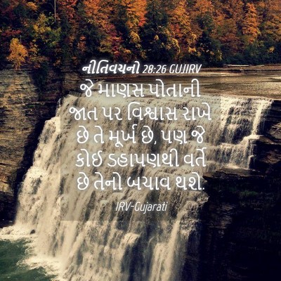 Picture 04 - નીતિવચનો 28:26 GUJIRV - જે માણસ પોતાની જાત - Bible Verse Picture