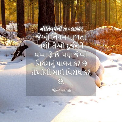 Picture 04 - નીતિવચનો 28:4 GUJIRV - જેઓ નિયમ પાળતા નથી, - Bible Verse Picture