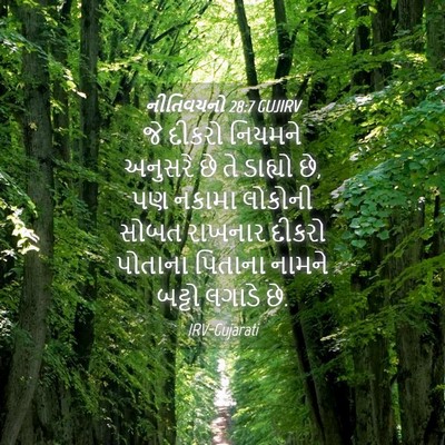 Picture 04 - નીતિવચનો 28:7 GUJIRV - જે દીકરો નિયમને - Bible Verse Picture