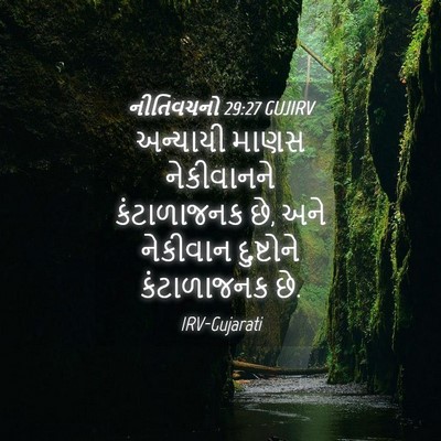 Picture 04 - નીતિવચનો 29:27 GUJIRV - અન્યાયી માણસ - Bible Verse Picture