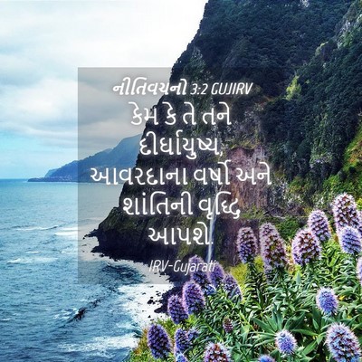 Picture 04 - નીતિવચનો 3:2 GUJIRV - કેમ કે તે તને - Bible Verse Picture