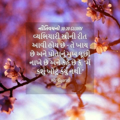 Picture 04 - નીતિવચનો 30:20 GUJIRV - વ્યભિચારી - Bible Verse Picture