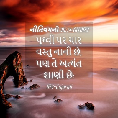 Picture 04 - નીતિવચનો 30:24 GUJIRV - પૃથ્વી પર ચાર - Bible Verse Picture