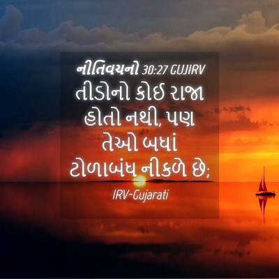Picture 04 - નીતિવચનો 30:27 GUJIRV - તીડોનો કોઈ રાજા - Bible Verse Picture