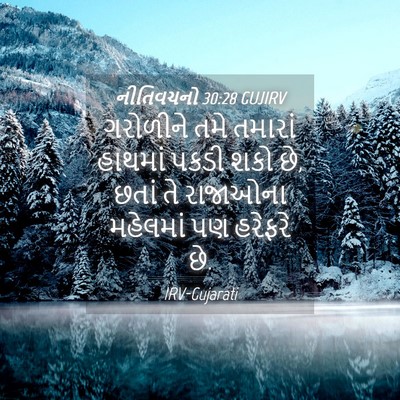 Picture 04 - નીતિવચનો 30:28 GUJIRV - ગરોળીને તમે - Bible Verse Picture