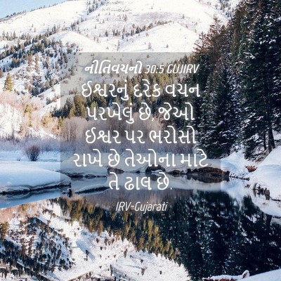 Picture 04 - નીતિવચનો 30:5 GUJIRV - ઈશ્વરનું દરેક વચન - Bible Verse Picture