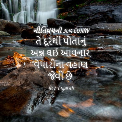Picture 04 - નીતિવચનો 31:14 GUJIRV - તે દૂરથી પોતાનું - Bible Verse Picture