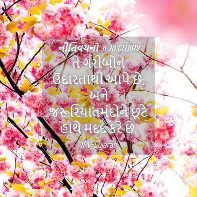 Picture 04 - નીતિવચનો 31:20 GUJIRV - તે ગરીબોને - Bible Verse Picture
