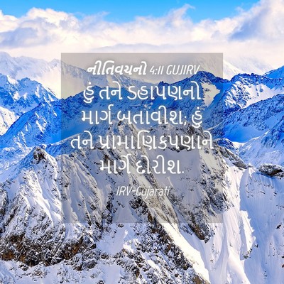 Picture 04 - નીતિવચનો 4:11 GUJIRV - હું તને ડહાપણનો - Bible Verse Picture