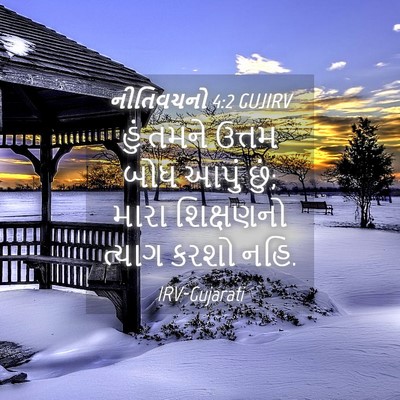 Picture 04 - નીતિવચનો 4:2 GUJIRV - હું તમને ઉત્તમ બોધ - Bible Verse Picture