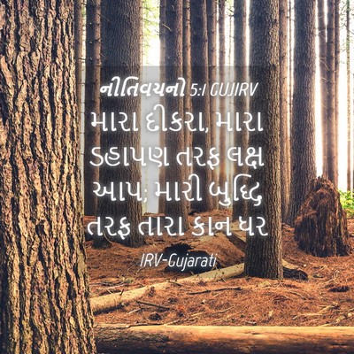 Picture 04 - નીતિવચનો 5:1 GUJIRV - મારા દીકરા, મારા - Bible Verse Picture