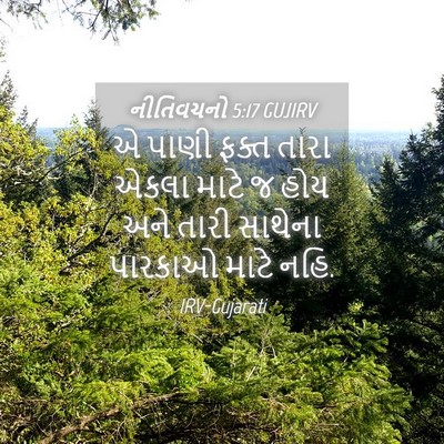 Picture 04 - નીતિવચનો 5:17 GUJIRV - એ પાણી ફક્ત તારા - Bible Verse Picture