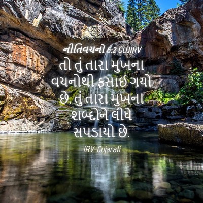Picture 04 - નીતિવચનો 6:2 GUJIRV - તો તું તારા મુખના - Bible Verse Picture