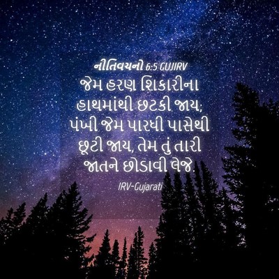 Picture 04 - નીતિવચનો 6:5 GUJIRV - જેમ હરણ શિકારીના - Bible Verse Picture